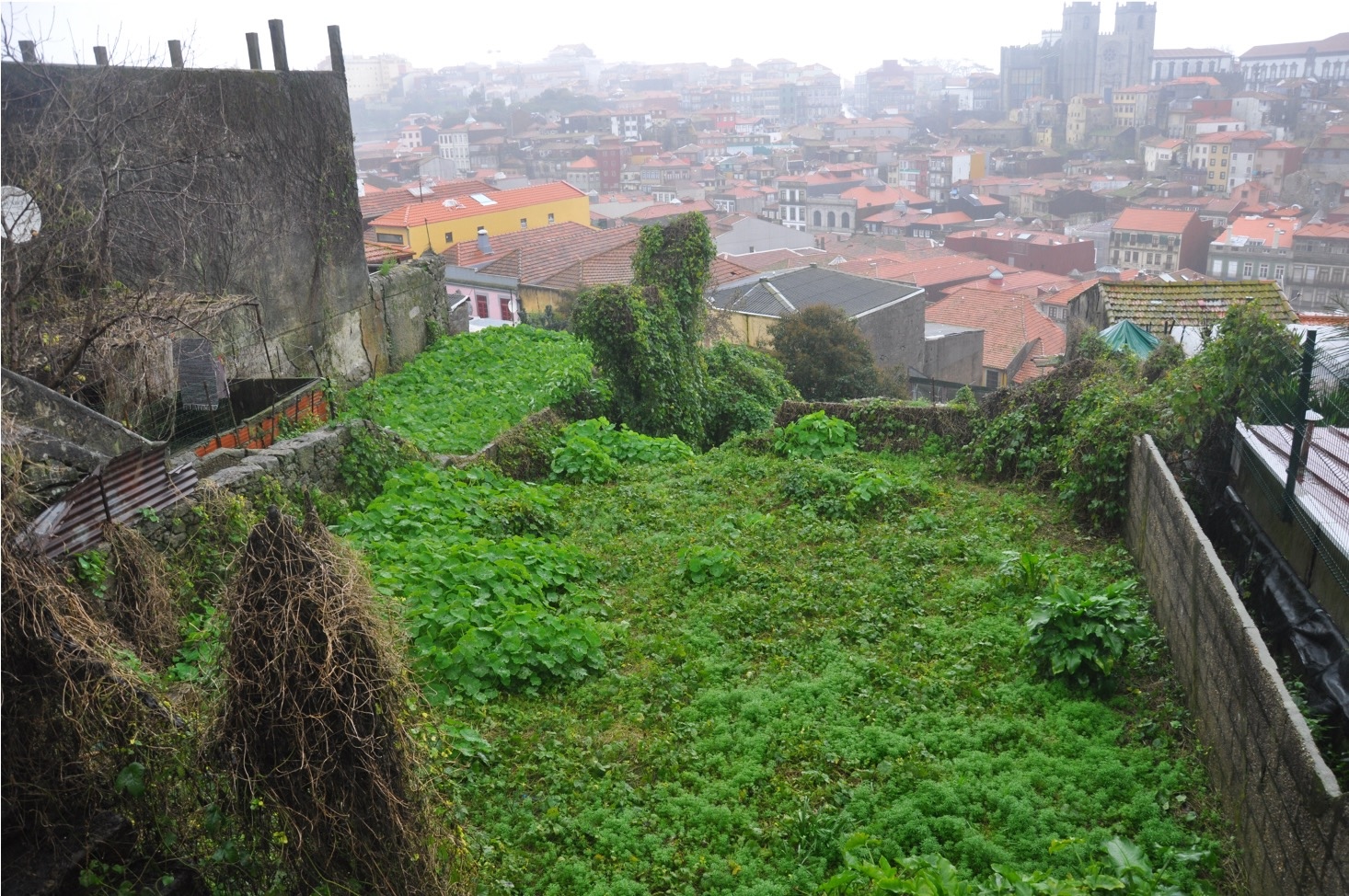 São Bento da Vitória 2